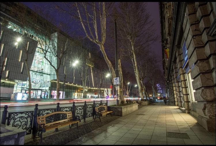 Rustaveli Apartment City Centre Tbilisi Eksteriør bilde
